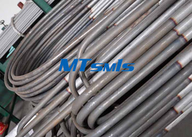 TP304L / S30403 الفولاذ المقاوم للصدأ U بيند / مبادل حراري أنبوب مع صلب ومخلل السطح